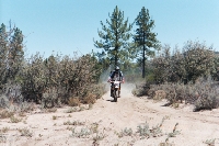 006_3th.JPG (32656 bytes)