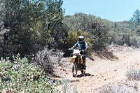 009_6th.JPG (37917 bytes)