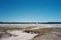 011_8th.JPG (24823 bytes)