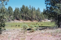 013_10th.JPG (35959 bytes)