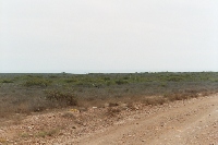 014_11th.JPG (14396 bytes)
