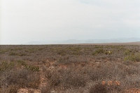 015_12th.JPG (15008 bytes)